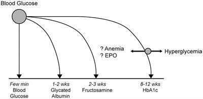 Making sense of glucose sensors in end-stage kidney disease: A review